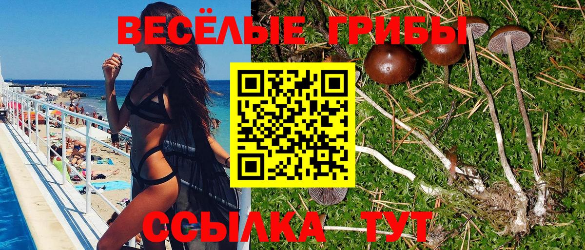 Галлюциногенные грибы Magic Shrooms Ростов-на-Дону