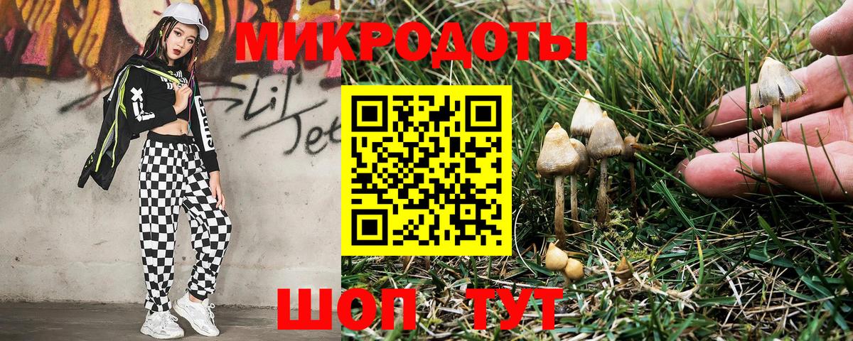 Галлюциногенные грибы ЛСД  Псилоцибиновые грибы MAGIC MUSHROOMS  цена   Вход с VPN  Ростов-на-Дону 